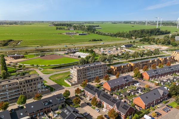 Lisdodde 151-2.jpg